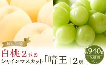 桃 ぶどう 2025年 先行予約 岡山の 果物 詰合せ 岡山 白桃 2玉 シャイン マスカット 晴王 2房 化粧箱入り 岡山県産 国産 フルーツ 果物 ギフト