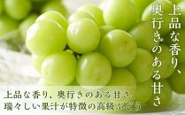 ★一時受付停止中★桃 ぶどう 2024年 先行予約 岡山の 果物 詰合せ 岡山 白桃 2玉 シャイン マスカット 晴王 2房 化粧箱入り 岡山県産 国産 フルーツ 果物 ギフト