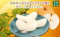 【先行予約】梨 新興梨 鳥取産 5kg× 1箱