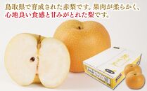 【先行予約】梨 秋甘泉 鳥取産 5kg× 1箱
