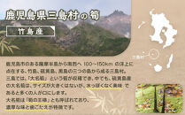 【2026年お届け】大名筍 10kg ( 約32本 ) ( 竹島産 )～2026年5月中旬以降順次発送予定～