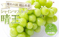 ぶどう&nbsp;2026年&nbsp;シャイン&nbsp;マスカット&nbsp;晴王&nbsp;2房（合計約1.1kg）化粧箱入り&nbsp;マスカット&nbsp;ブドウ&nbsp;葡萄&nbsp;&nbsp;岡山県産&nbsp;国産&nbsp;フルーツ&nbsp;果物&nbsp;ギフト