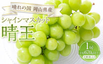 ぶどう&nbsp;2026年&nbsp;シャイン&nbsp;マスカット&nbsp;晴王&nbsp;1房（1房670g以上）化粧箱入り&nbsp;マスカット&nbsp;ブドウ&nbsp;葡萄&nbsp;&nbsp;岡山県産&nbsp;国産&nbsp;フルーツ&nbsp;果物&nbsp;ギフト