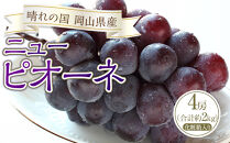 ぶどう&nbsp;2026年&nbsp;ニュー&nbsp;ピオーネ&nbsp;4房（合計約2kg）&nbsp;ブドウ&nbsp;葡萄&nbsp;&nbsp;岡山県産&nbsp;国産&nbsp;フルーツ&nbsp;果物&nbsp;ギフト