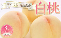 桃&nbsp;2026年&nbsp;白桃&nbsp;8玉（1玉200g以上）化粧箱入りもも&nbsp;モモ&nbsp;岡山県産&nbsp;国産&nbsp;フルーツ&nbsp;果物&nbsp;ギフト