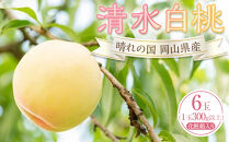 桃&nbsp;2026年&nbsp;清水&nbsp;白桃&nbsp;6玉（1玉300g以上）化粧箱入りもも&nbsp;モモ&nbsp;岡山県産&nbsp;国産&nbsp;フルーツ&nbsp;果物&nbsp;ギフト