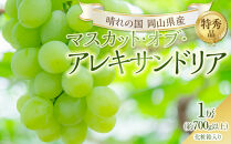 ぶどう&nbsp;2026年&nbsp;マスカット・オブ・アレキサンドリア&nbsp;特秀品&nbsp;1房（1房700g以上）化粧箱入り&nbsp;マスカット&nbsp;岡山県産&nbsp;国産&nbsp;フルーツ&nbsp;果物&nbsp;ギフト