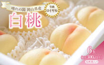 桃&nbsp;2026年&nbsp;白桃&nbsp;6玉（1玉300g以上）&nbsp;等級：&nbsp;ロイヤル&nbsp;化粧箱入り&nbsp;もも&nbsp;モモ&nbsp;岡山県産&nbsp;国産&nbsp;フルーツ&nbsp;果物&nbsp;ギフト