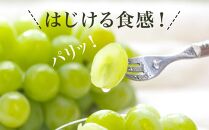 ぶどう&nbsp;2026年&nbsp;マスカット&nbsp;・オブ・アレキサンドリア&nbsp;1房&nbsp;700g以上&nbsp;化粧箱入り&nbsp;マスカット&nbsp;ブドウ&nbsp;葡萄&nbsp;&nbsp;岡山県産&nbsp;国産&nbsp;フルーツ&nbsp;果物&nbsp;ギフト