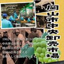 ぶどう 2025年 先行予約 ニュー ピオーネ 4房（1房480g以上）約2kg ブドウ 葡萄  岡山県産 国産 フルーツ 果物 ギフト