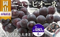 ぶどう 2026年  ニュー ピオーネ 4房（1房480g以上）約2kg ブドウ 葡萄  岡山県産 国産 フルーツ 果物 ギフト