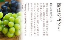 ぶどう&nbsp;2026年&nbsp;&nbsp;ニュー&nbsp;ピオーネ&nbsp;2房（1房600g以上）化粧箱入り&nbsp;ブドウ&nbsp;葡萄&nbsp;&nbsp;岡山県産&nbsp;国産&nbsp;フルーツ&nbsp;果物&nbsp;ギフト