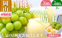 桃 ぶどう 2025年 先行予約 果物 詰合せ 白桃 2玉（1玉220g以上）シャインマスカット 晴王 2房（1房480g以上）化粧箱入り もも 葡萄 岡山県産 国産 フルーツ 果物 ギフト