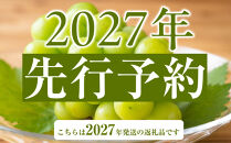 ぶどう&nbsp;2027年&nbsp;&nbsp;桃太郎&nbsp;ぶどう&nbsp;1房（700g以上）化粧箱入り&nbsp;ブドウ&nbsp;葡萄&nbsp;&nbsp;岡山県産&nbsp;国産&nbsp;フルーツ&nbsp;果物&nbsp;ギフト