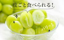 ぶどう&nbsp;2026年&nbsp;&nbsp;シャイン&nbsp;マスカット&nbsp;晴王&nbsp;4房（1房480g以上）約2kg&nbsp;マスカット&nbsp;ブドウ&nbsp;葡萄&nbsp;&nbsp;岡山県産&nbsp;国産&nbsp;フルーツ&nbsp;果物&nbsp;ギフト