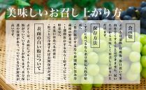 ぶどう&nbsp;2026年&nbsp;&nbsp;シャイン&nbsp;マスカット&nbsp;晴王&nbsp;4房（1房480g以上）約2kg&nbsp;マスカット&nbsp;ブドウ&nbsp;葡萄&nbsp;&nbsp;岡山県産&nbsp;国産&nbsp;フルーツ&nbsp;果物&nbsp;ギフト