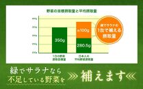 【定期便6回】 緑でサラナ30本セット