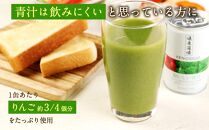 【定期便3回】健康道場　おいしい青汁10本セット×２