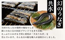幻の国産ブランド鰻　共水うなぎのかば焼き　1串（約115g）タレ・山椒付き　極上の甘みとうまみ、ふっくらとした食感