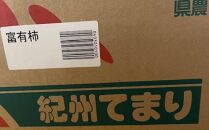 富有柿の新品種「紀州てまり」約7.5kg（22玉～32玉おまかせ）★2024年10月中旬頃より順次発送【TM87】