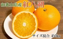 【希少品】和歌山県産紅八朔約5kg（サイズ混合）★2025年１月下旬頃より順次発送【先行予約】【TM88】