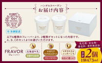 A:ハンデルスベーゲン無添加アイスクリーム/たっぷり入ったパイントサイズ2個入り（北海道牛乳・京都宇治抹茶） パーティー 家族 大容量 抹茶 北海道牛乳