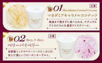 B:ハンデルスベーゲン無添加アイスクリーム/たっぷり入ったパイントサイズ2個入り（マカダミアキャラメルココナッツ・ベリーバイベリー）&nbsp;パーティー&nbsp;家族&nbsp;大容量&nbsp;キャラメル&nbsp;ベリー&nbsp;ヨーグルト