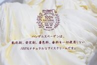 C:ハンデルスベーゲン無添加アイスクリーム/たっぷり入ったパイントサイズ2個入り（マダガスカルリッチバニラ・ピスタチオ）