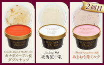 【全３回 / 定期便】ハンデルスベーゲン 無添加アイスクリーム / カップアイスクリーム6個×全3回  全18個 毎月届く バニラ 抹茶 ピスタチオ あまおう ラムレーズン