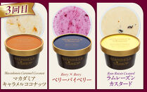 【全３回 / 定期便】ハンデルスベーゲン 無添加アイスクリーム / カップアイスクリーム6個×全3回  全18個 毎月届く バニラ 抹茶 ピスタチオ あまおう ラムレーズン