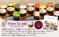 【全３回 / 定期便】ハンデルスベーゲン 無添加アイスクリーム / カップアイスクリーム6個×全3回  全18個 毎月届く バニラ 抹茶 ピスタチオ あまおう ラムレーズン