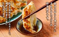 【食感と昆布だしにこだわり】 【2回定期便】お酒によく合う野菜餃子40個(10個×4箱)【 餃子 加工品 冷凍 おつまみ つまみ 定期便 食品 グルメ お取り寄せ お取り寄せグルメ 八雲町 北海道 】