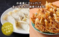 【食感と昆布だしにこだわり】 【2回定期便】お酒によく合う野菜餃子40個(10個×4箱)【 餃子 加工品 冷凍 おつまみ つまみ 定期便 食品 グルメ お取り寄せ お取り寄せグルメ 八雲町 北海道 】