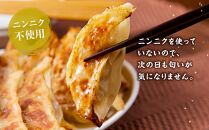 【食感と昆布だしにこだわり】 【2回定期便】お酒によく合う味噌餃子40個(10個×4箱)【 餃子 加工品 冷凍 おつまみ つまみ 定期便 食品 グルメ お取り寄せ お取り寄せグルメ 八雲町 北海道 】