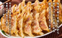 【食感と昆布だしにこだわり】 【2回定期便】お酒によく合う味噌餃子40個(10個×4箱)【 餃子 加工品 冷凍 おつまみ つまみ 定期便 食品 グルメ お取り寄せ お取り寄せグルメ 八雲町 北海道 】