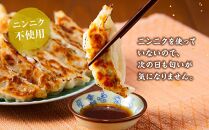 【食感と昆布だしにこだわり】 【3回定期便】お酒によく合う野菜餃子40個(10個×4箱)【 餃子 加工品 冷凍 おつまみ つまみ 定期便 食品 グルメ お取り寄せ お取り寄せグルメ 八雲町 北海道 】