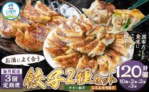 【食感と昆布だしにこだわり】 【3回定期便】お酒によく合う餃子2種セット40個(野菜餃子1箱 10個入り×2箱・もろみ味噌餃子1箱 10個入り×2箱)【 餃子 加工品 冷凍 おつまみ つまみ 定期便 食品 グルメ お取り寄せ お取り寄せグルメ 八雲町 北海道 】