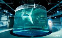 神戸の港の水族館　AQUARIUM ×ART atoa　夜間貸切利用＜2時間＞