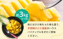 【期間限定】数量限定！本土最南端の熟成ハウスパイナップル　品種おまかせ3kg（2～5玉）セット