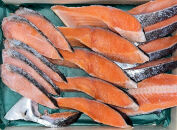 甘口&nbsp;銀鮭&nbsp;切身&nbsp;詰合せ（計15枚）|&nbsp;魚&nbsp;お魚&nbsp;さかな&nbsp;しゃけ&nbsp;鮭&nbsp;お惣菜&nbsp;大容量&nbsp;食品&nbsp;銀鮭&nbsp;朝食&nbsp;お弁当&nbsp;焼き魚&nbsp;保存食&nbsp;人気&nbsp;おすすめ&nbsp;送料無料