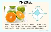 先行予約 極早生温州ミカン YN26 約 3kg サイズ混合 和歌山県 有田みかん 2024年9月下旬頃発送