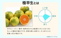 先行予約 極早生みかん 約 3kg サイズ混合 和歌山県 有田みかん 2024年10月中旬頃発送