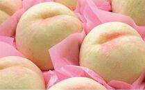 桃 2024年 先行予約 ご家庭用 おかやま の 桃 約1.8kg（7～9玉） もも モモ 岡山県産 国産 フルーツ 果物 
