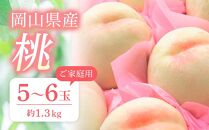 桃 2025年 先行予約 ご家庭用 おかやまの桃 約1.3kg （5～6玉） もも モモ 岡山県産 国産 フルーツ 果物