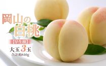 桃&nbsp;2026年&nbsp;岡山の&nbsp;白桃&nbsp;大玉3玉&nbsp;早生種&nbsp;合計約840g&nbsp;【白桃&nbsp;桃&nbsp;もも&nbsp;岡山県産&nbsp;国産&nbsp;フルーツ&nbsp;果物&nbsp;新鮮&nbsp;おすすめ&nbsp;人気&nbsp;岡山県&nbsp;岡山市&nbsp;国産&nbsp;&nbsp;ギフト&nbsp;大玉】