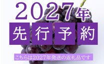 ぶどう&nbsp;2027年&nbsp;&nbsp;ご家庭用&nbsp;ニュー&nbsp;ピオーネ&nbsp;2～3房&nbsp;合計約1.2kg&nbsp;ブドウ&nbsp;葡萄&nbsp;岡山県産&nbsp;国産&nbsp;フルーツ&nbsp;果物&nbsp;ギフト