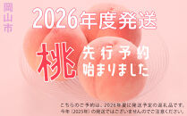 桃&nbsp;2026年&nbsp;ご家庭用&nbsp;白桃（晩生種）&nbsp;5～6玉&nbsp;合計約1.5kg&nbsp;【家庭用&nbsp;白桃&nbsp;桃&nbsp;もも&nbsp;岡山県産&nbsp;国産&nbsp;フルーツ&nbsp;果物&nbsp;新鮮&nbsp;おすすめ&nbsp;人気&nbsp;岡山県&nbsp;岡山市&nbsp;国産&nbsp;】