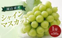 ぶどう 2025年 先行予約 シャイン マスカット 1房 約500g ブドウ 葡萄  岡山市産 国産 フルーツ 果物 ギフト