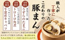 岡山の山珍（さんちん） 豚まん 10個入 行列のできる岡山の人気手作り豚まん【配達不可：北海道・沖縄・離島】| 肉まん 豚まん 豚 肉 お取り寄せ 取り寄せ お取り寄せグルメ 岡山県 岡山市 岡山 ご当地 特産品 手作り 人気 おすすめ グルメ 送料無料 セット