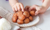 梅の色彩 千里庵の梅 800g 塩分約5％ A-122